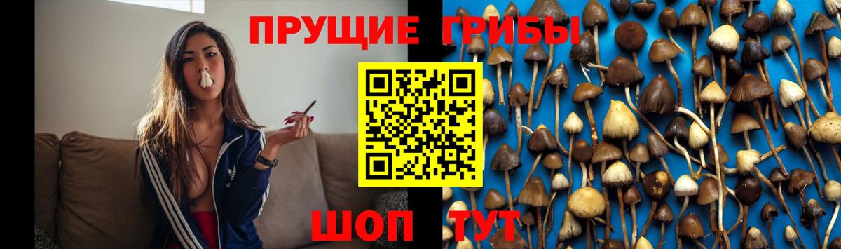 Псилоцибиновые грибы Cubensis  Вход с VPN  Родники 